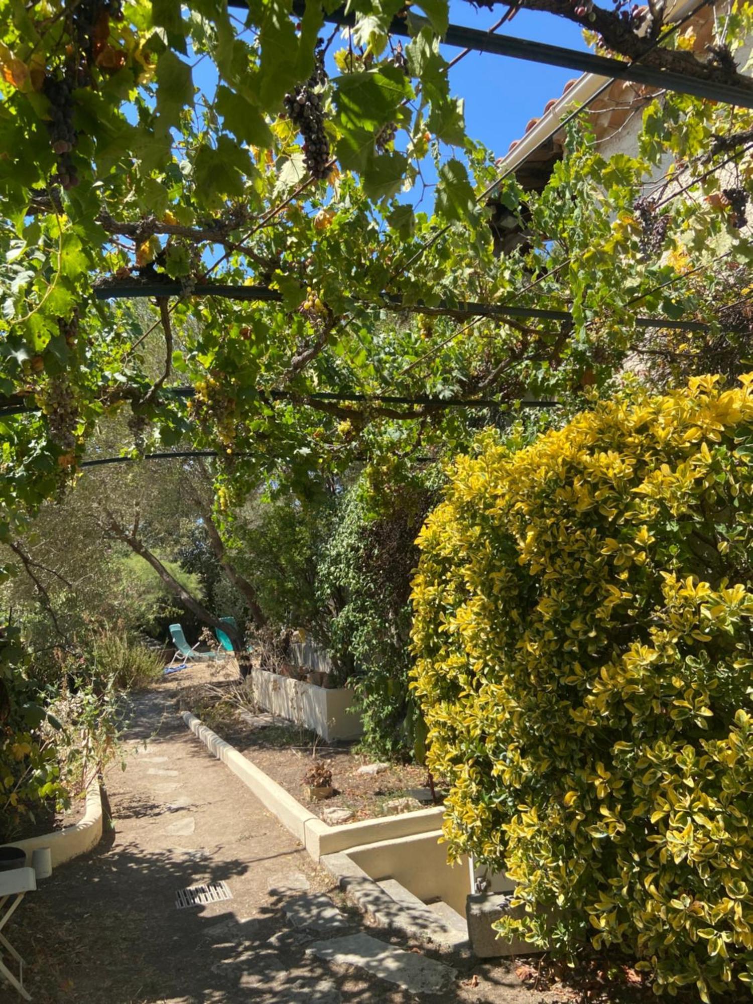 Evasion En Provence Bas De Villa Avec Jardin & Vignes, Soleil & Fraicheur Les Pennes Mirabeau Bagian luar foto